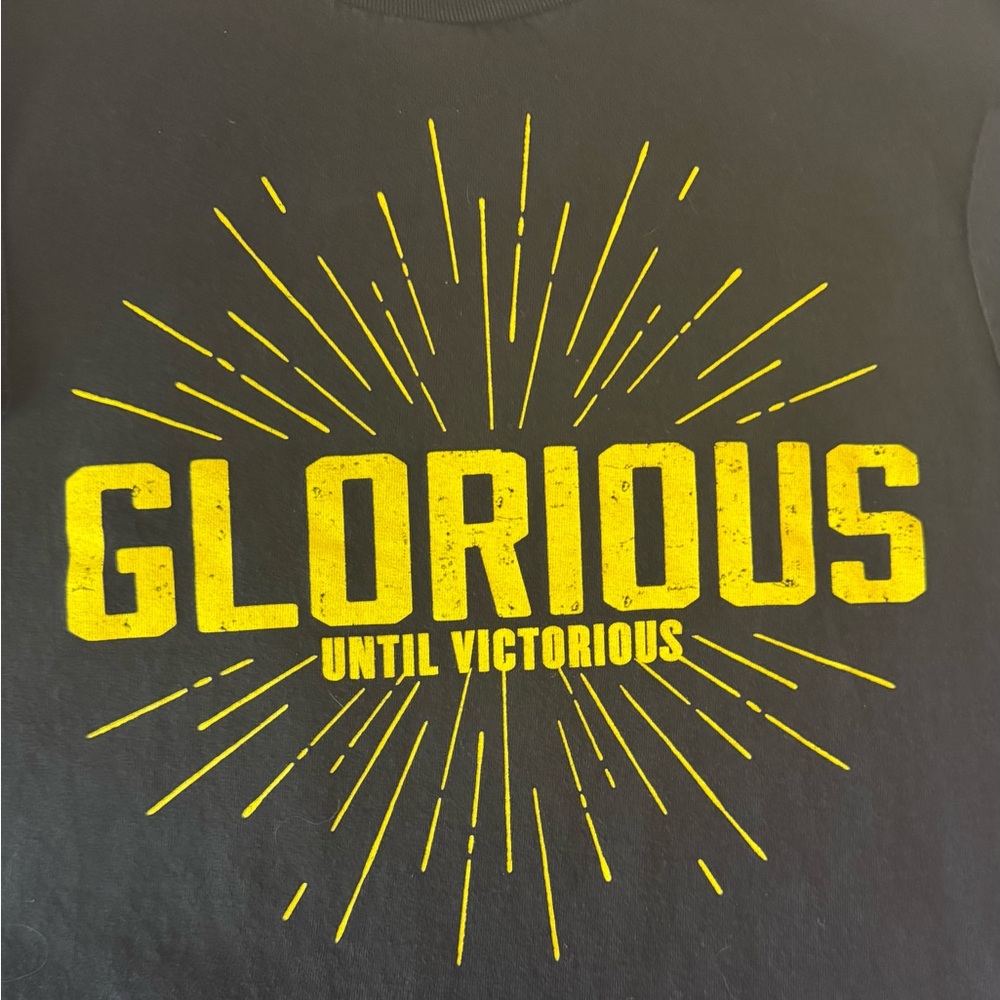 NXT Large Glorious until Victorious Roode Tee shirt.